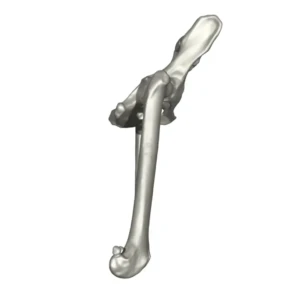Pelvis with Femur (L+R) - Image 3