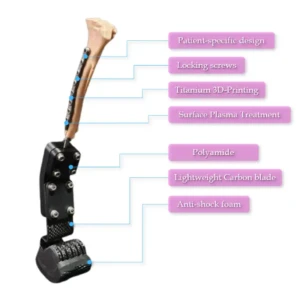 ITAPD (Dog), ITAPC (Cat) - Image 2