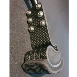 ITAPD (Dog), ITAPC (Cat) - Image 20