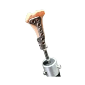 ITAPD (Dog), ITAPC (Cat) - Image 8