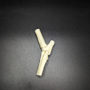 Anatomical model of the tarsus joint - Image 3