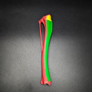 Anatomical model of the tibia of a dog (bone map) - Image 4