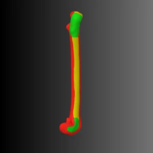Cat femur anatomical model (bone map) - Image 4
