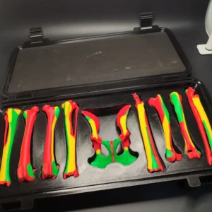 Set of colored anatomical models CBONE BOX - Image 1