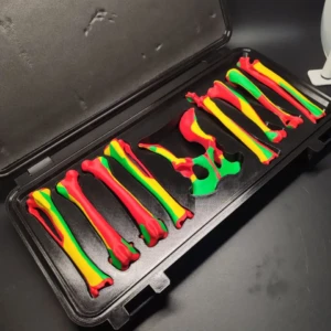 Set of colored anatomical models CBONE BOX - Image 2