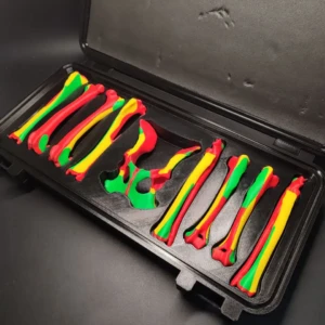 Set of colored anatomical models CBONE BOX - Image 3